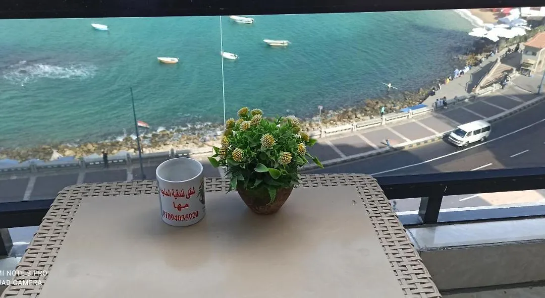 شقةفاخرةبجليم على البحر مباشرة-1